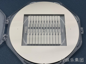 携手共植科技树 长情陪伴结硕果——J9娱乐集团MEMS业务签署标志性订单